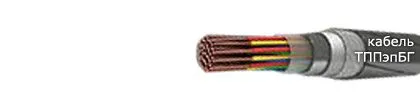Кабель ТППэпБГ 300х2х0,64